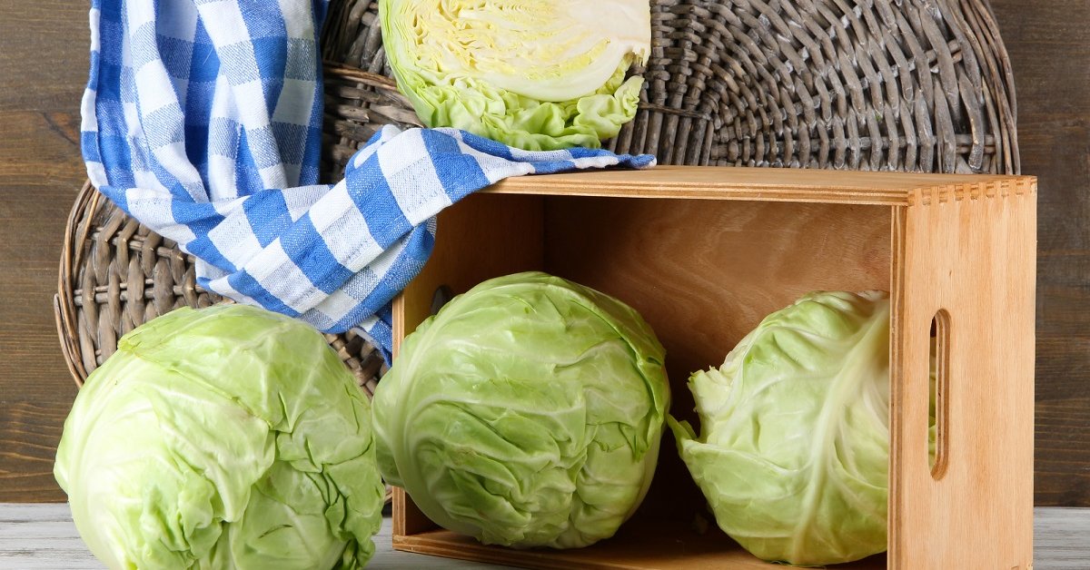 Как хранить капусту в погребе и домашних условиях: способы сохранить свежей